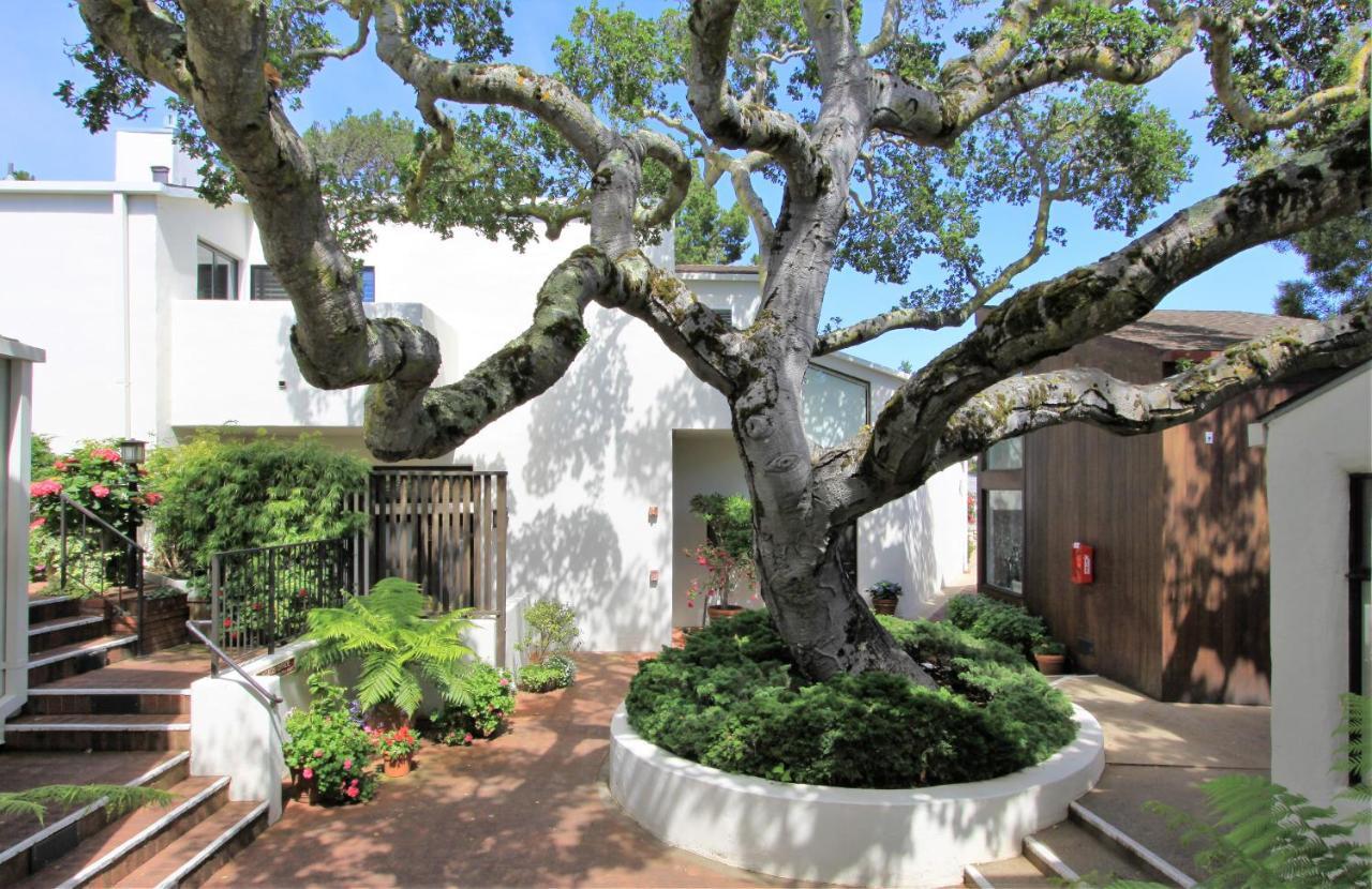 Lobos Lodge Carmel-by-the-Sea Εξωτερικό φωτογραφία